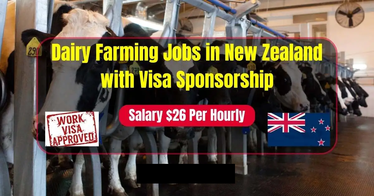 Farming Jobs in New Zealand